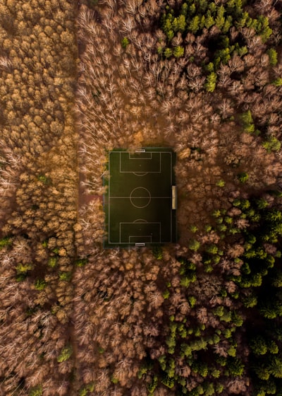 الأهلي والزمالك طائرة الكرة المصرية تحلق في سماء الإنجازات